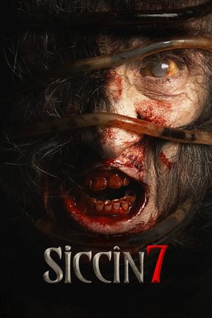 Siccin 7's poster