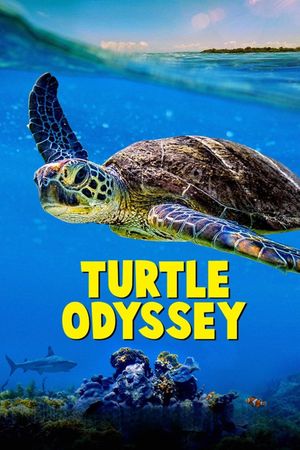 Turtle Odyssey's poster