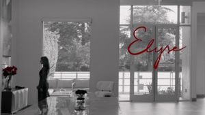 Elyse's poster
