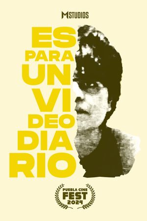 Es Para Un Videodiario's poster