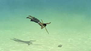 The Red Turtle's poster