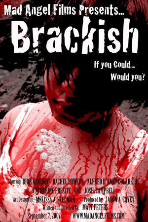 Brackish's poster image