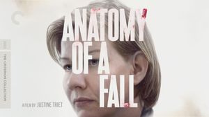 Anatomy of a Fall's poster