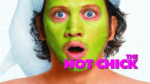 The Hot Chick's poster