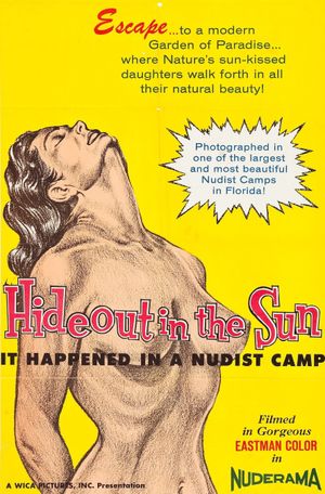 Hideout in the Sun's poster