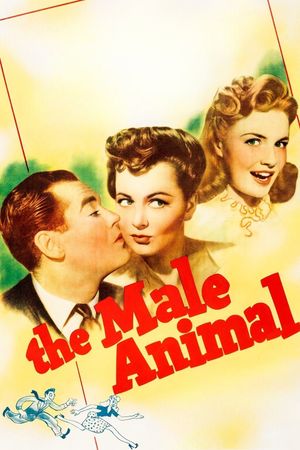 The Male Animal's poster