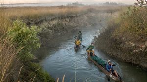 Into the Okavango's poster