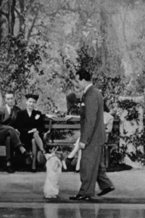 Canine Capers's poster
