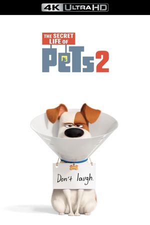 The Secret Life of Pets 2's poster