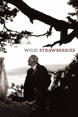 Wild Strawberries's poster