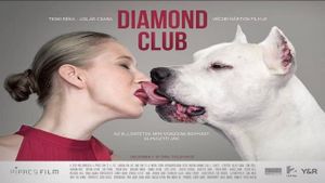 Diamond Club's poster