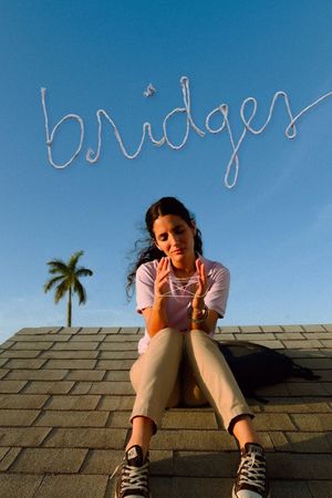 Bridges's poster