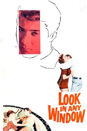 Look in Any Window's poster