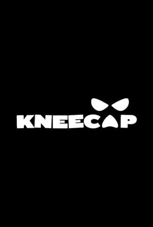 Kneecap's poster