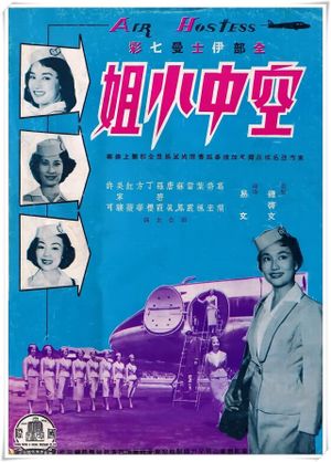 Air Hostess's poster