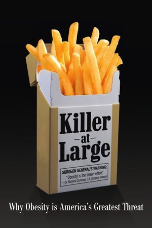 Killer at Large's poster image