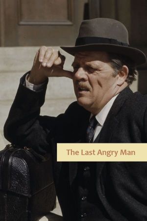 The Last Angry Man's poster