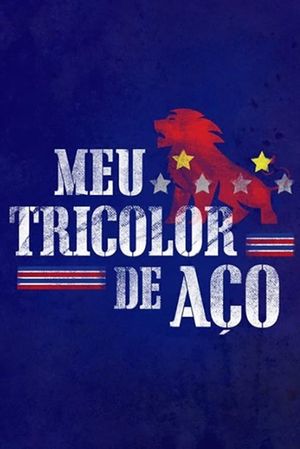 Meu Tricolor de Aço's poster