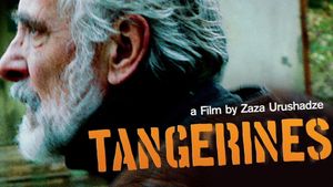 Tangerines's poster