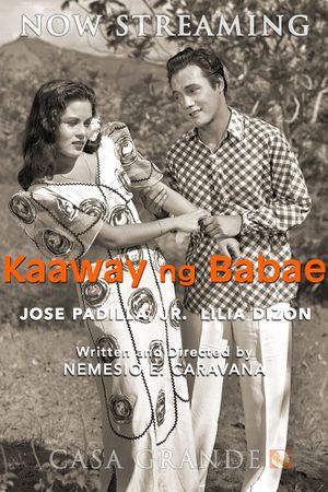 Kaaway ng babae's poster