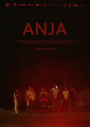 Anja's poster