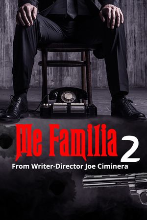 Me Familia 2's poster