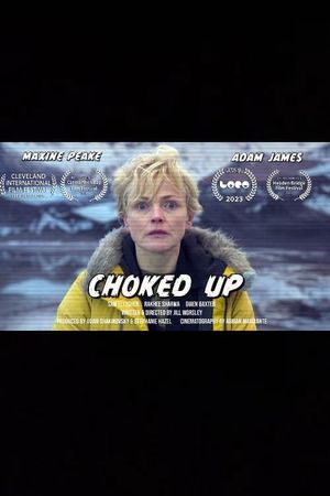 Choked Up's poster