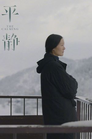 The Calming's poster image