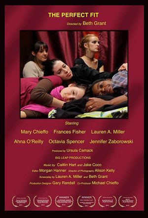 The Perfect Fit's poster