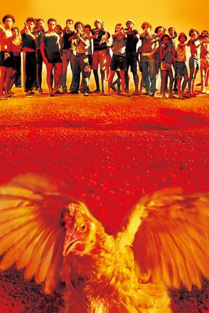 City of God's poster