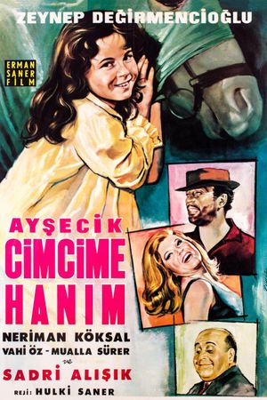 Aysecik: Cimcime Hanim's poster