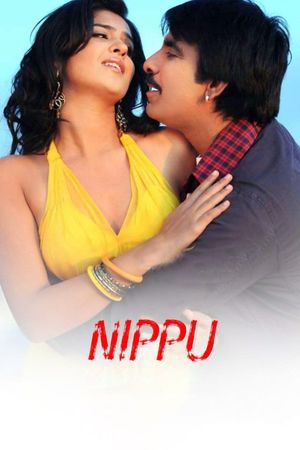 Nippu's poster