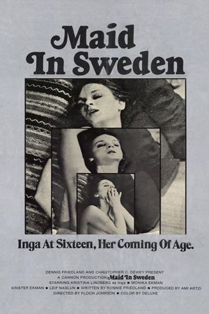 Maid in Sweden's poster