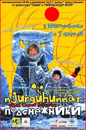 Нюргуһуннар's poster image