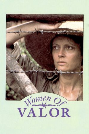 Women of Valor's poster