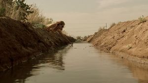 Erin Brockovich's poster