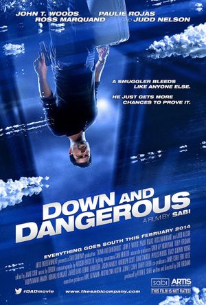 Down and Dangerous's poster