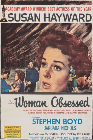Woman Obsessed's poster