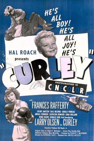 Curley's poster image