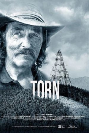 Torn's poster