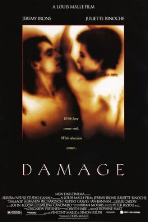 Damage's poster