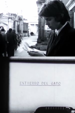 El entierro del gato's poster image