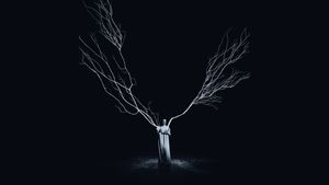 She Will's poster