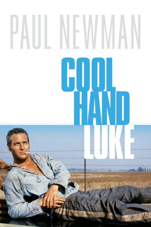 Cool Hand Luke's poster