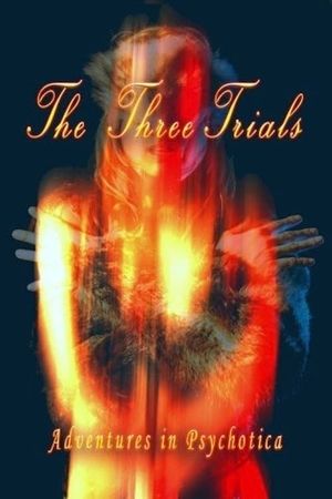 The Three Trials's poster