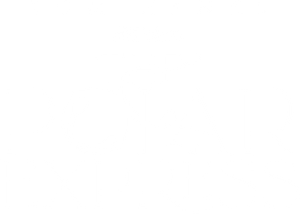 The Polar Express's poster