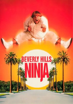 Beverly Hills Ninja's poster