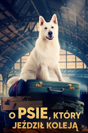 The Dog Who Travelled by Train's poster