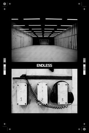 Endless's poster