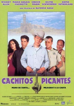 Picking Up the Pieces's poster